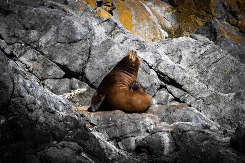 Wildlife photograph by Yasthil Bhagwandeen